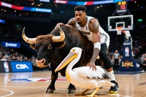 公牛负鹈鹕，拉文表现不佳